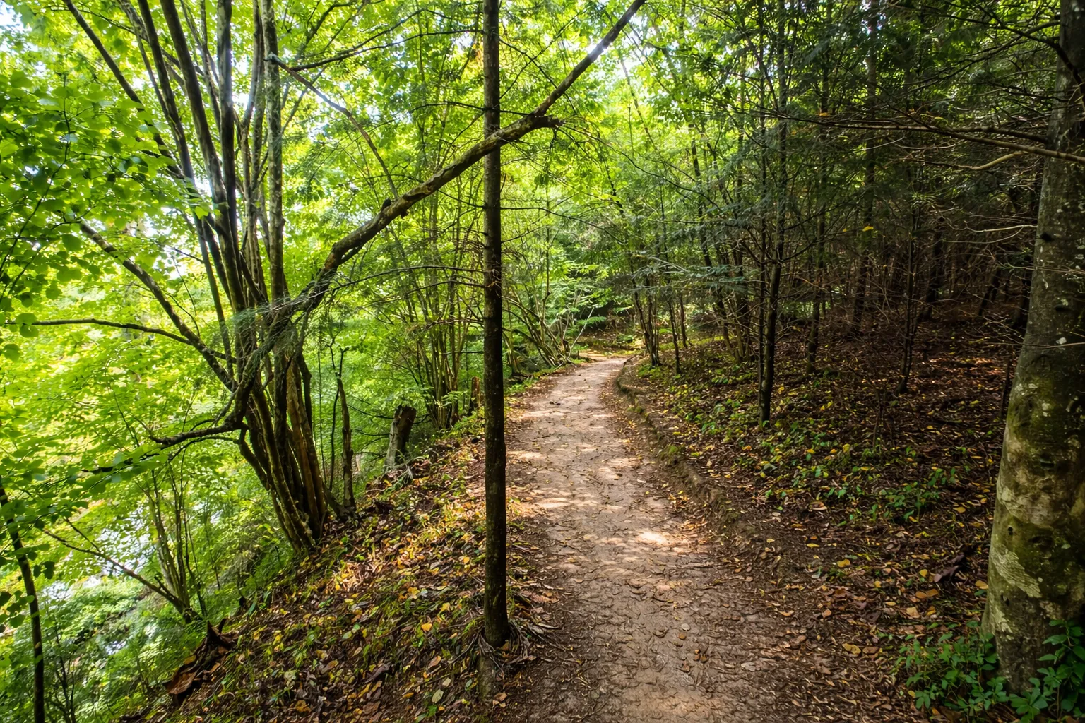 Blog FalHouse Bieszczady — artykuły o atrakcjach i szlakach