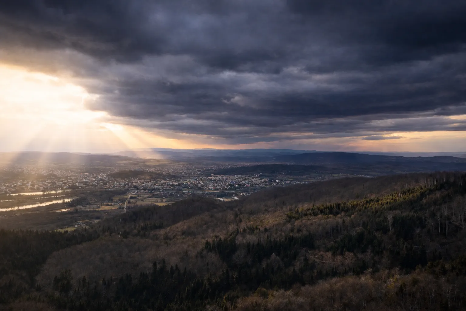 Połonina Wetlińska Bieszczady — dzikie konie